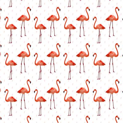 AIx5G AI和5G两者间究竟能碰撞出怎样的火花?听大咖为你解答